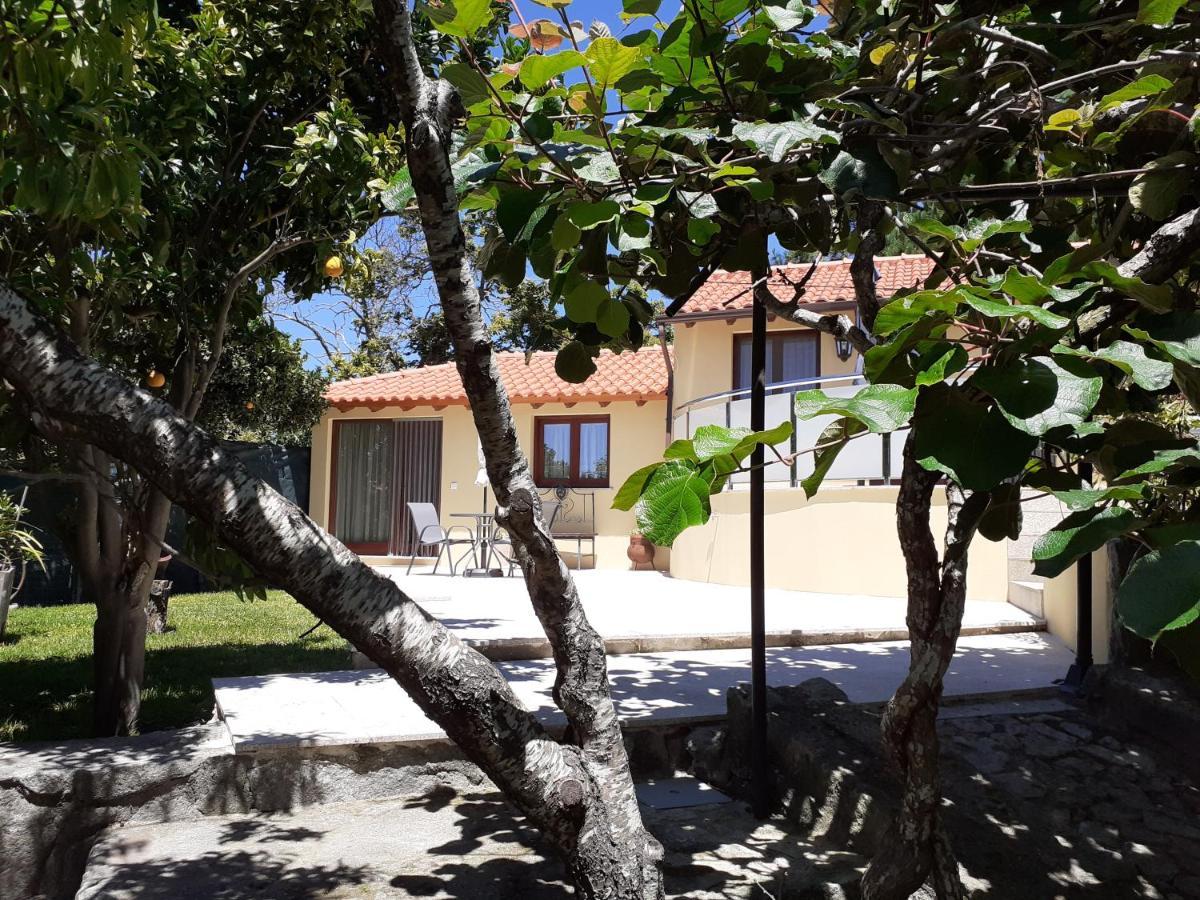 Casa De Santa Luzia A Lägenhet Vila Praia de Âncora Exteriör bild
