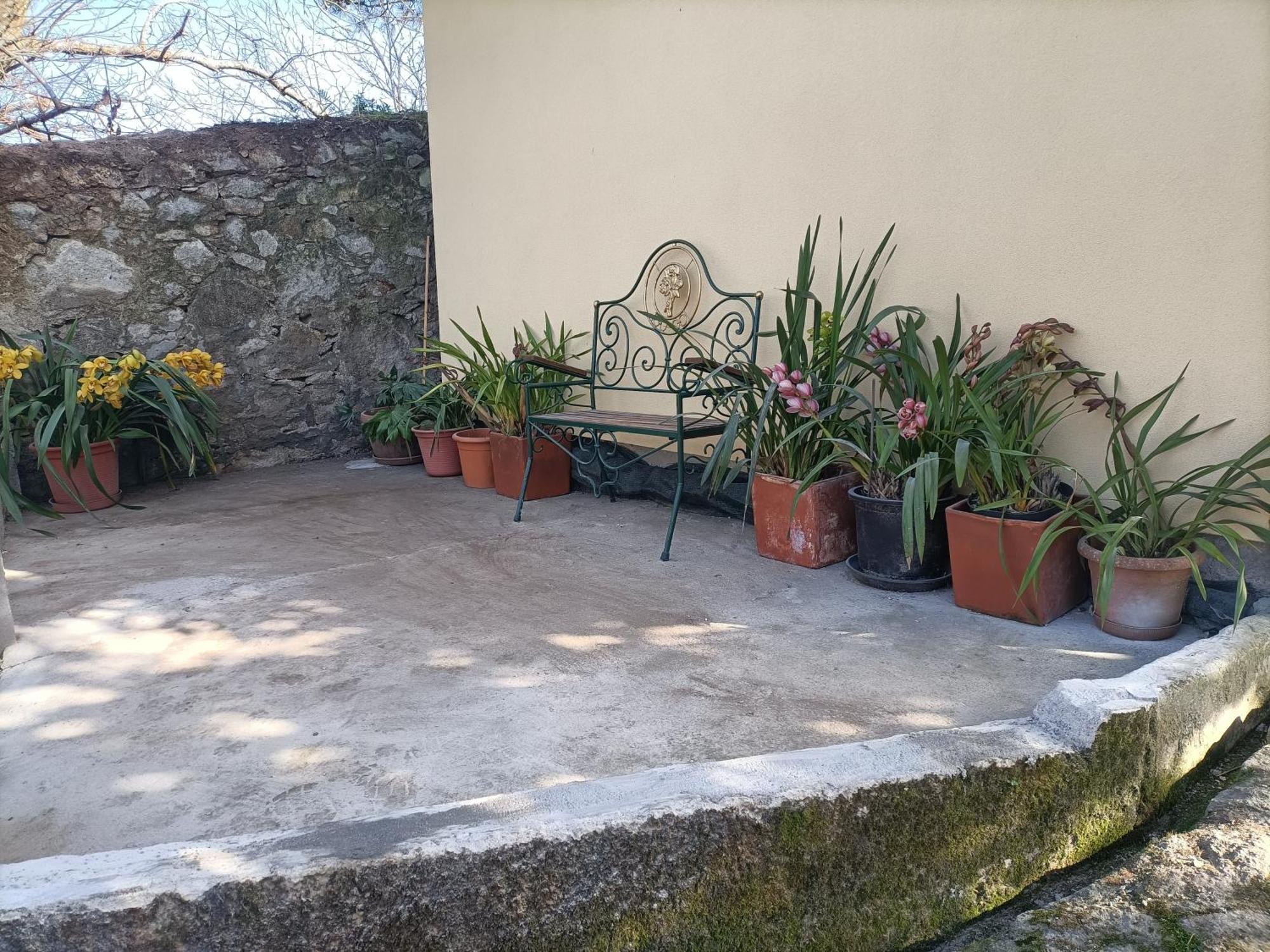 Casa De Santa Luzia A Lägenhet Vila Praia de Âncora Exteriör bild